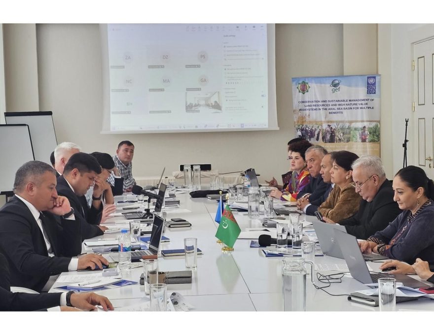 Second Regional Consultative Meeting on the Development and Definition of a Mechanism for Implement…
